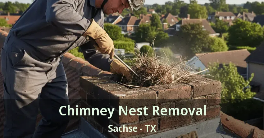 Chimney Nest Removal Sachse - TX