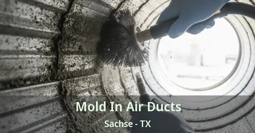 Mold In Air Ducts Sachse - TX