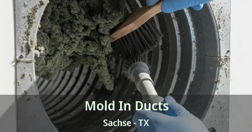 Mold In Ducts Sachse - TX